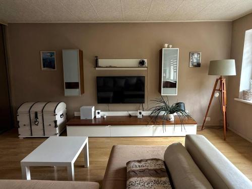 TV a/nebo společenská místnost v ubytování Old Town Apartment, SELF Check-in