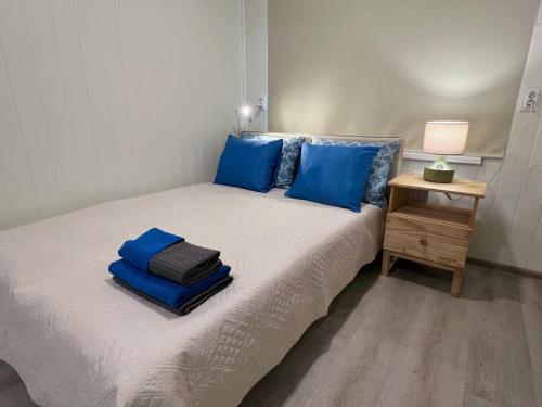 a bedroom with a bed with blue pillows and a night stand at Apartment Vainagu street Sigulda in Sigulda