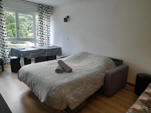 une chambre avec un lit, un bureau et une fenêtre dans l'établissement Grand Studio 25 min Paris Porte Maillot, à Saint-Gratien