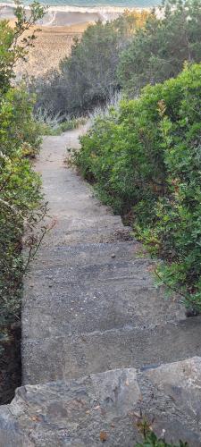 a stone path with bushes on the side of a beach at Anemos in Tsoútsouros