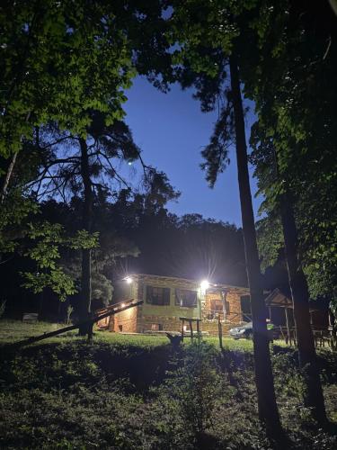 a house at night with lights in the trees at Vila Fruškogorski Mir in Velika Remeta