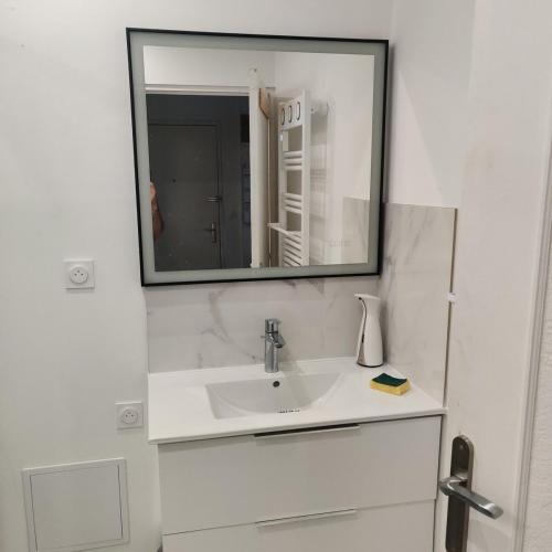 a bathroom with a sink and a mirror at Small modern air-conditioned cocoon in Châteauroux