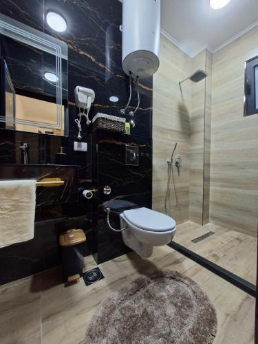 a bathroom with a toilet and a shower at Vhtwins apartment in Ulcinj