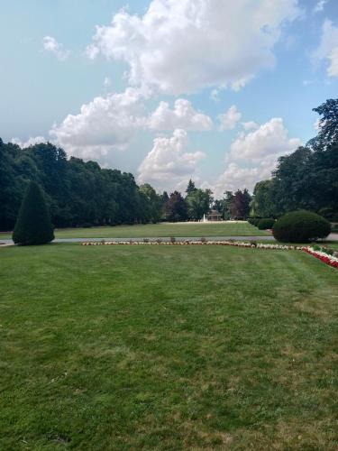 a park with a green field and trees at Apartmán u Fontány 2-free parking in Poděbrady