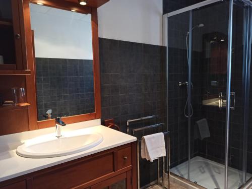 a bathroom with a sink and a glass shower at Hotel Cervaria in Cervera del Río Alhama