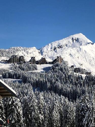 Charming mountain view apartment in Morzine