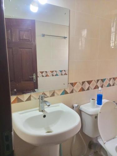 a bathroom with a sink and a toilet and a mirror at Cozyblue fully furnished 1 bedroom bnb in Mombasa