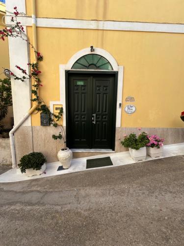 Gallery image of B&B Il Sogno Ponza in Ponza