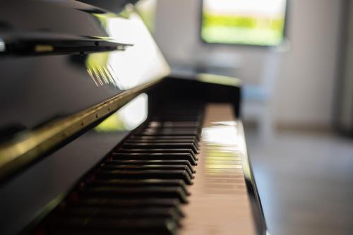 a close up of a piano keyboard at Villa Goranovic in Herceg-Novi