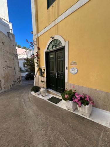 Gallery image of B&B Il Sogno Ponza in Ponza