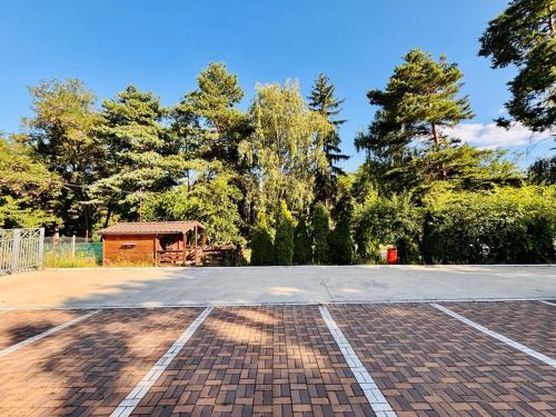 an empty parking lot with trees in the background at Bunika's - Cabana Stejarul in Baisa