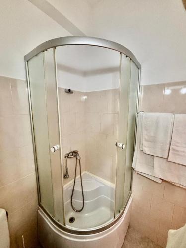 a shower with a glass door in a bathroom at Bunika's - Cabana Stejarul in Baisa