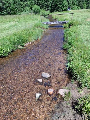a stream with rocks in the middle of a field at Apartment Bellevue E7 in Kopaonik