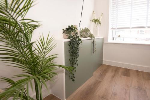 a room with potted plants on the wall at Stylish 1 Bed Apartment in Penarth Town Flat 2 in Cardiff