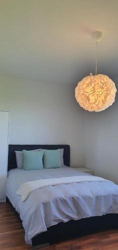 a bedroom with a bed and a pendant light at JM Swiss Space in Langrickenbach