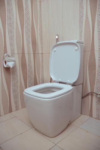a bathroom with a white toilet in a room at 泊悦国际大酒店 BoYue Hotel in Addis Ababa Bole International Airport