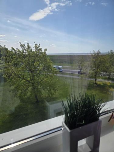 a window with a view of a tree and a street at Kate Sea Apartment in Pärnu