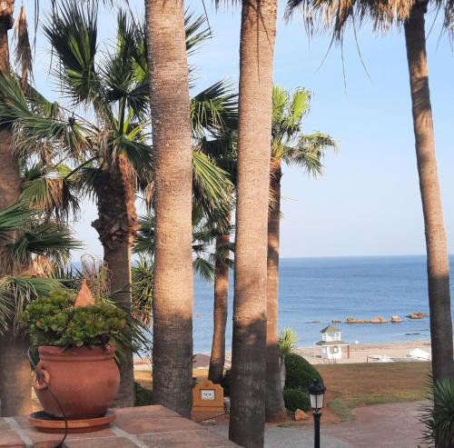 a view of the beach from a resort with palm trees at Loma del Rey 56 - casa primera linea de mar in Alcaidesa