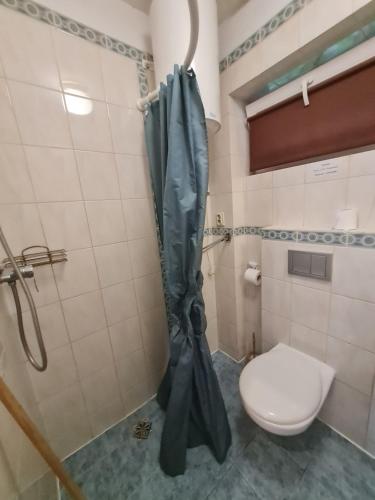 a bathroom with a toilet and an umbrella at Pensjonacik Ogrody in Pierzchno