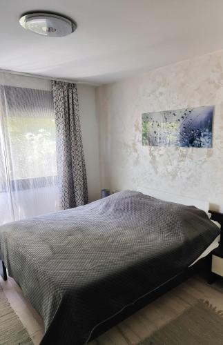 Apartman Emanuel