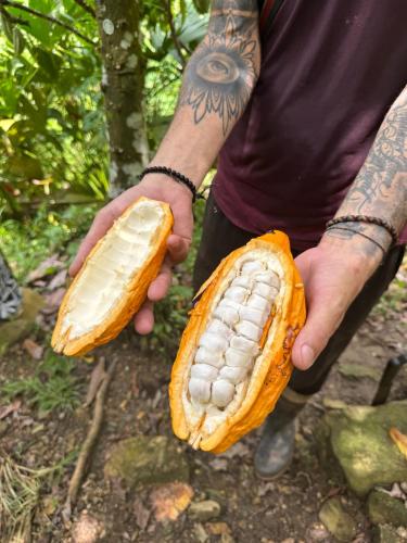 a man holding two halves of a corn on a bun at Finca La Selvita Chocolate experience in Buritaca