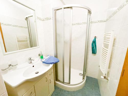 a bathroom with a shower and a sink at Penzion u Radnice in Lomnice nad Lužnicí