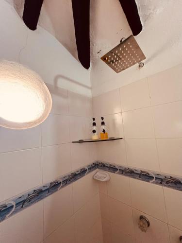 a bathroom with a shower with a toilet at Aura Hotel Parque Barichara By Infinity in Barichara