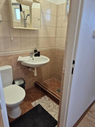 a bathroom with a toilet and a sink at Apartmany-Anna in Podhájska