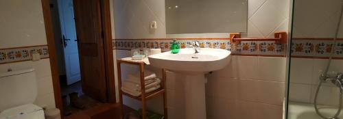 a bathroom with a white sink and a shower at Mas Rubió in Joanetes