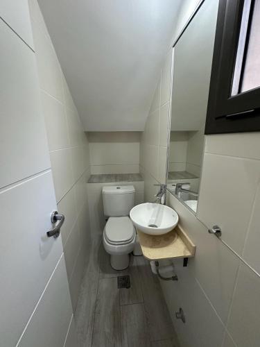 a small bathroom with a toilet and a sink at Terroir Village - Complejo en Mendoza in Guaymallen