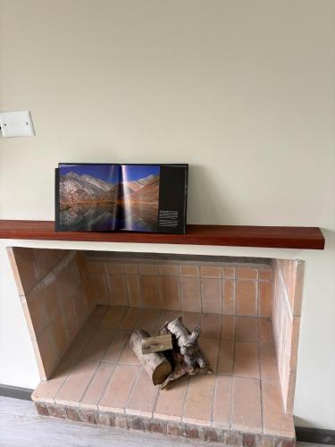 a shelf with a book and a skull on it at Terroir Village - Complejo en Mendoza in Guaymallen