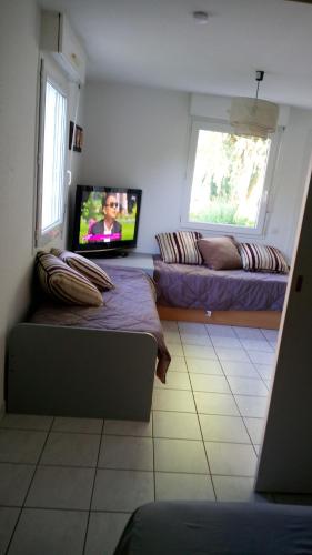 a living room with two beds and a flat screen tv at Les Clés Nature in Moutiers-sous-Chantemerle