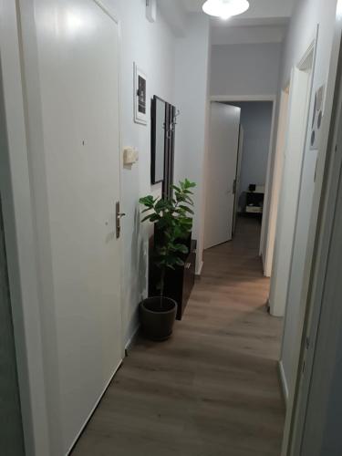 Φωτογραφία από το άλμπουμ του Helena's house στην Ερμούπολη