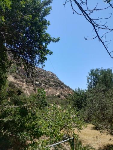 a view of a mountain through the trees at Oleander's Garden Traditional Cretan Cottage in Ferma
