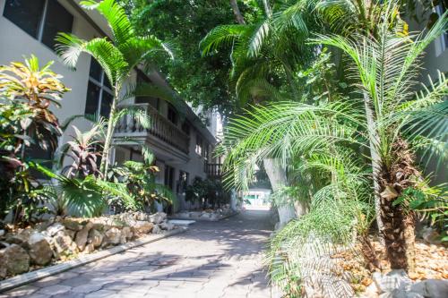 a courtyard with palm trees in front of a building at Suites Lafragua in Veracruz