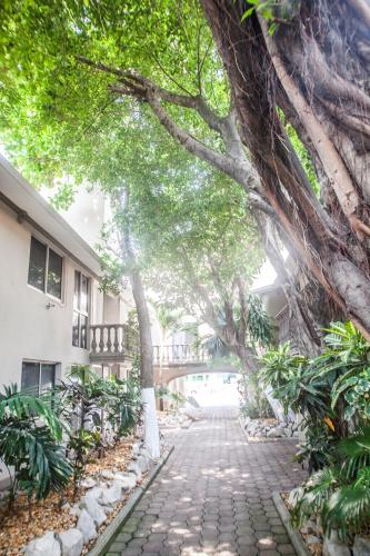 a tree lined walkway in front of a building at Suites Lafragua in Veracruz