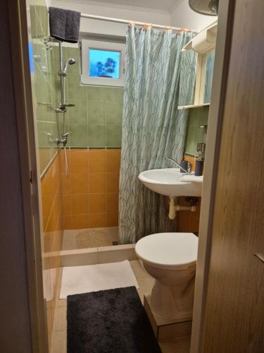 a bathroom with a shower and a toilet and a sink at Apartmany-Anna in Podhájska