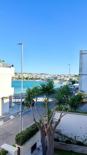 a tree in front of a building with a street at Tra Cielo e Mare in Otranto