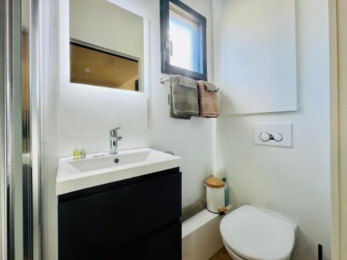 a bathroom with a sink and a toilet and a mirror at Domaine du Mafay - LODGE BROCÉLIANDE in Bourg-des-Comptes