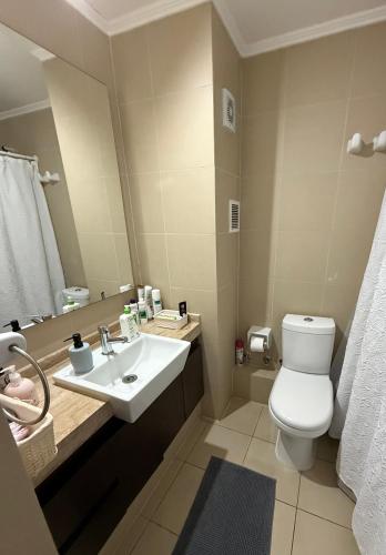 a bathroom with a sink and a toilet and a mirror at Departamento en Condominio Edificio Innova 306 in Copiapó