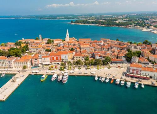 an aerial view of a harbor with boats in the water at App Damiani in Oprtalj