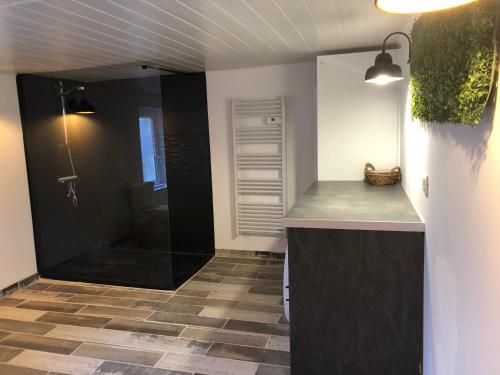 a bathroom with a walk in shower and a sink at Lemagil in Guéret