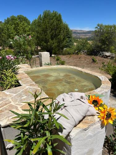 a small pond in a stone wall with flowers at SKD Casa Naranja Suite Rioja in Avila