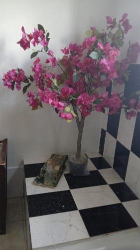 Φωτογραφία από το άλμπουμ του Mandeville Chateau σε Μαντεβίλ