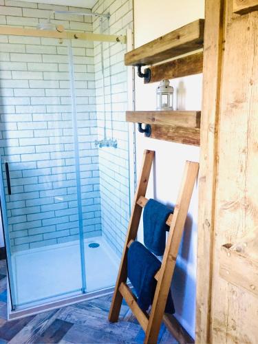 a ladder in a bathroom with a glass shower at Deer Den timber clad cabin with hot tub, up private lane in Cullompton