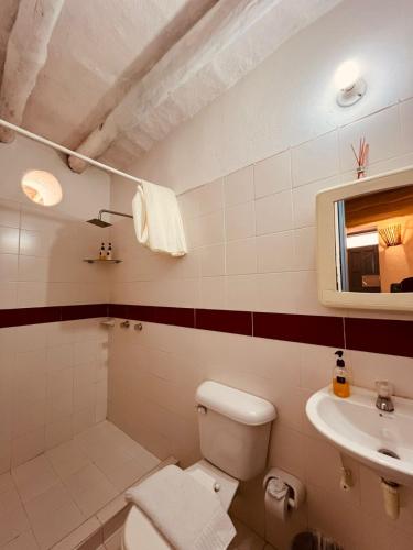 a bathroom with a toilet and a sink at Aura Hotel Parque Barichara By Infinity in Barichara