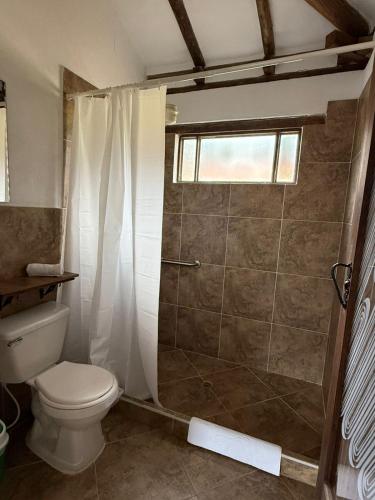 a bathroom with a shower with a toilet and a window at Hotel Montelux in Villa de Leyva