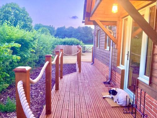 a cat laying on a wooden deck on a house at Deer Den timber clad cabin with hot tub, up private lane in Cullompton
