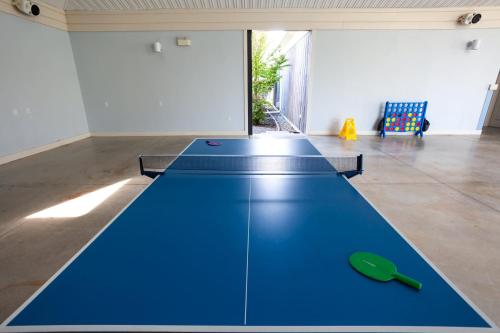 a blue ping pong table in a room at The Lynx - 35 Butternut in Cherry Valley