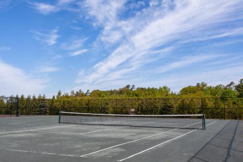 a tennis net on a tennis court at The Lynx - 35 Butternut in Cherry Valley